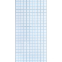 Листовая панель пвх  белая с голубым швом 955*488 мм
