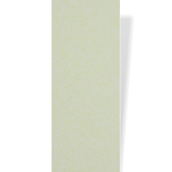 Панель ПВХ "Век" (9 мм) Орхидея Светло-зеленая (№9202) 250*2700 мм, ламинированная
