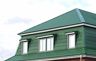 Монтеррей зеленый мох на крыше дома