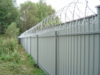 Профлист СС-10 неокрашенный забор