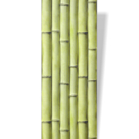 Панель ПВХ 3D эффект "ВЕК" (9мм) Бамбук оливковый 250*2700 мм