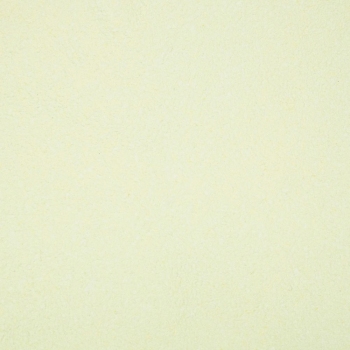 Шёлковая штукатурка "Silk Plaster" MASTER SILK (111) 0,7кг