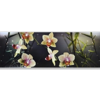 Интерьерная панель "Акватон" Орхидея 695*2070*3 мм