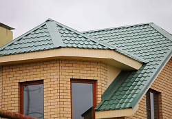 Монтеррей зеленый мох на кровле фото