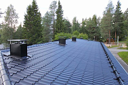 Монтеррей ультрамарин на доме фото