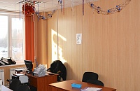Панель МДФ Дуб Король стены офиса