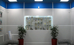 Векорум мокрый асфальт стены фото