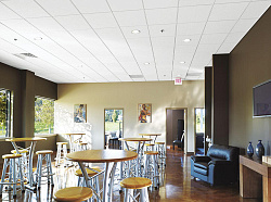 Потолки Армстронг в интерьере кафе фото