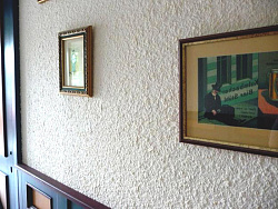 Шелковая штукатурка белая фото