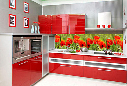 Интерьерная панель Маки на кухне фото