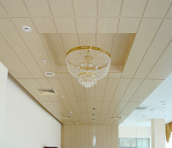 Панели МДФ в интерьере на потолке фото