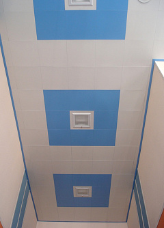 Потолки Cesal белый матовый и небо со светильниками Dorado фото