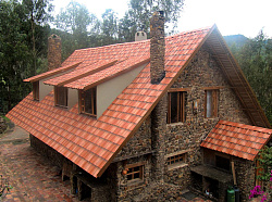 Ондувилла фиорентино фото