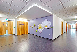 Потолки Армстронг в интерьере офисного центра фото