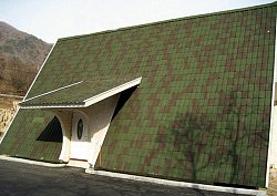 Ондувилла зеленая фото