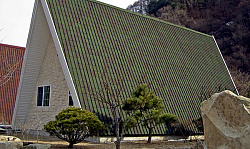 Ондувилла цвет зеленый на крыше фото