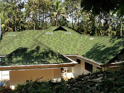 Ондувилла зеленый на крыше фото