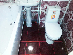 Панель ПВХ Лев гранат фото