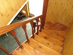 Панель МДФ Сосна в отделке фото