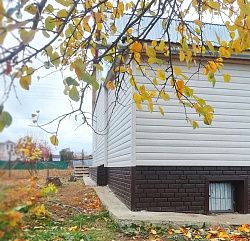 Виниловый сайдинг Ю-Пласт Ясень беленый и кирпич коричневый Виниловый сайдинг Ю-Пласт Ясень беленый и кирпич коричневый фото