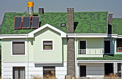 Ондувилла цвет зеленый на доме фото