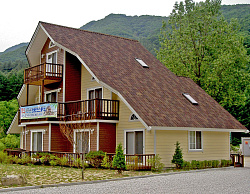 Ондувилла крыша дома фото