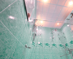 Дельфины морская волна фото