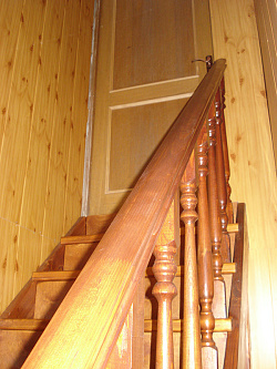 Панель МДФ Сосна фото