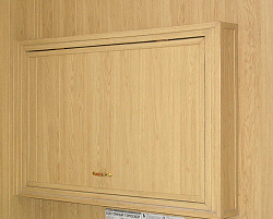 Панель МДФ Бук восточный фото