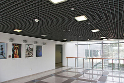 Потолки Грильято черного цвета для арт-площадок фото