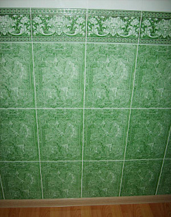 Панель ПВХ Лев изумруд фото