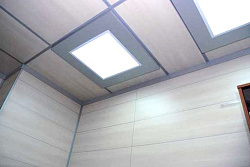 Стеновые панели МДФ Квадро Лес Вельвет фото