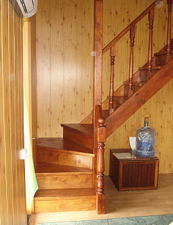 Панель МДФ Сосна на стенах фото