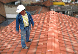 Ондувилла фиорентино на крыше фото